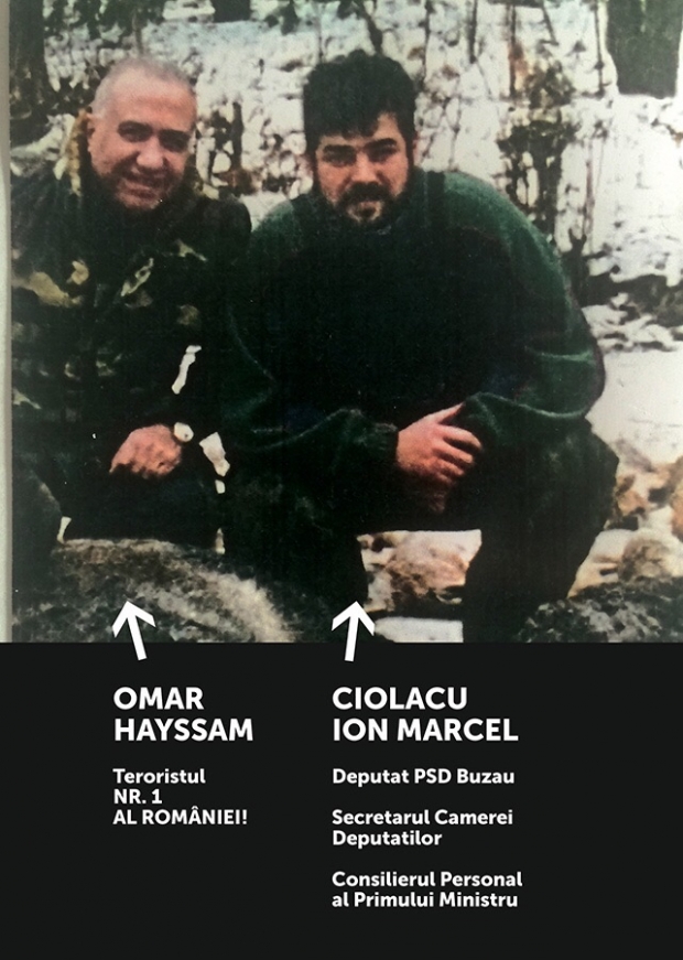 omar haysam - ciolacu