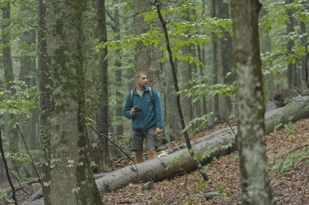 Semenic National Park / Romania /