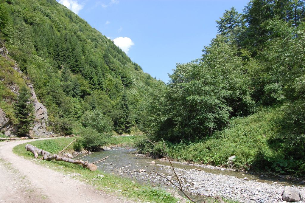 UBI-albie-Buda-River-inainte-instalat-conducte-in-zona-amonte-800-m-punct-Leuca