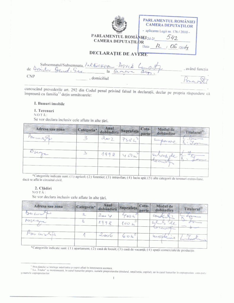 declaratie luminita iordachescu