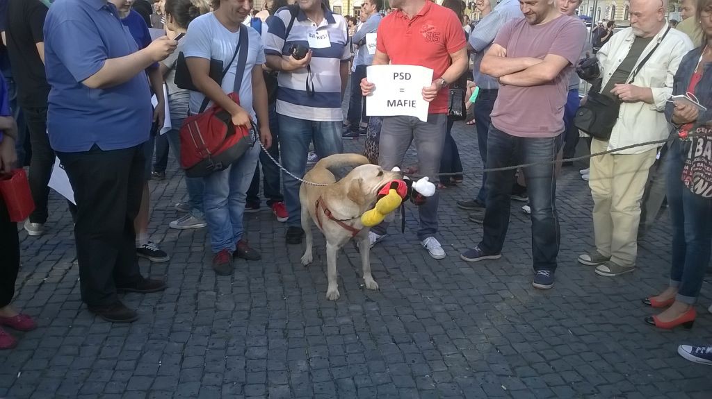 mickey-mouse-ponta-1