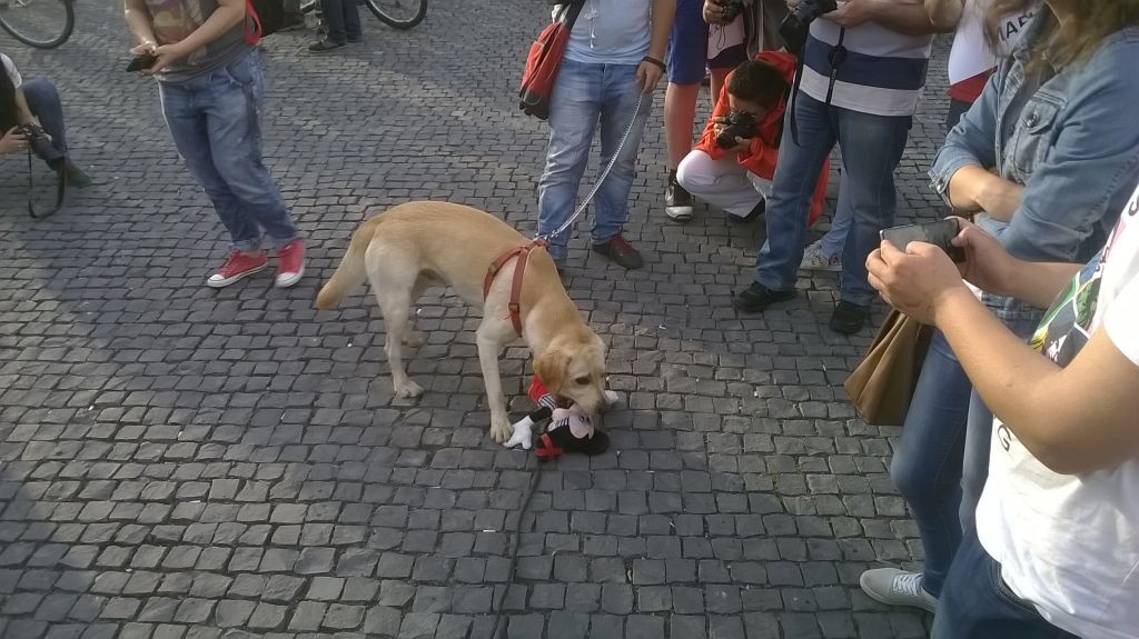 mickey-mouse-ponta-2