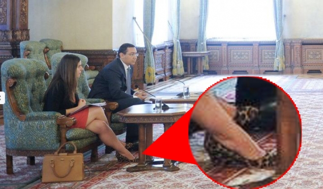 ioana petrescu - leoparzi