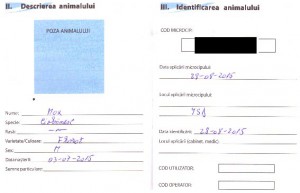 carnet sanatate max 2