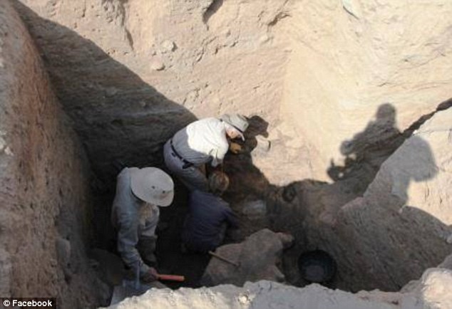 2D61DCC700000578-3270999-image-a-28_1444761890213