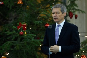 Ciolos-brad-de-Craciun