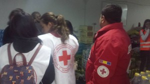 crucea rosiecolectiv