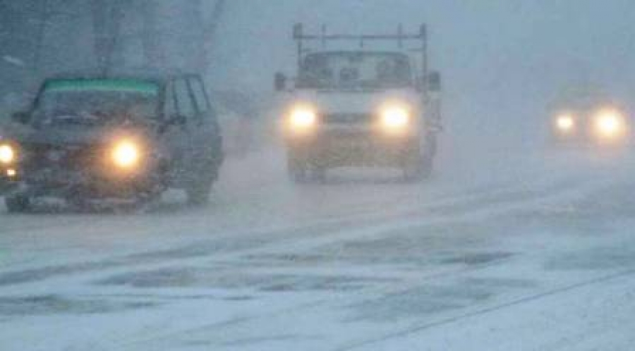 ninsori - viscol - iarna