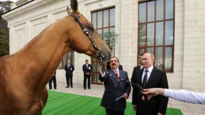 Russian President Vladimir Putin, right, presents Bahrain's King Hamad bin Issa Al Khalifa with Khadzhibek, a horse with an ancient Central Asian breed called Akhal-Teke during their meeting in the Bocharov Ruchei residence in the Black Sea resort of Sochi, Russia, Monday, Feb. 8, 2016. (Mikhail Klimentyev/Sputnik, Kremlin Pool Photo via AP)