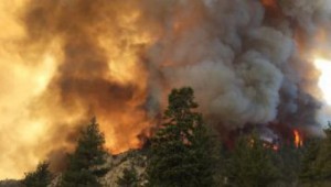 incendiile-de-vegetatie-devin-un-pericol-pe-vreme-torida-ce-recomanda-pompierii