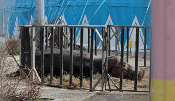 56e2c5bf682ccff8a73fc65a