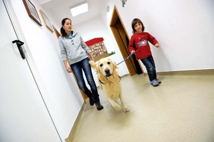 caini-de-terapie-UCOS-autism-14