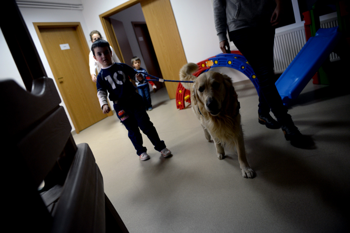 caini-de-terapie-UCOS-autism-18