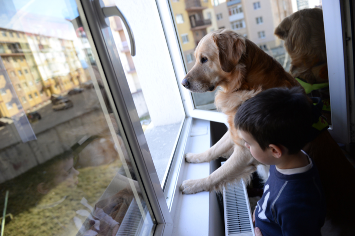 caini-de-terapie-UCOS-autism-34