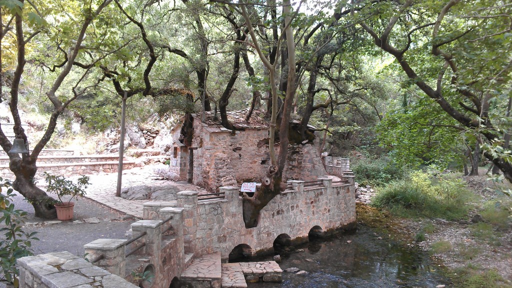 biserica - teodora - vasta