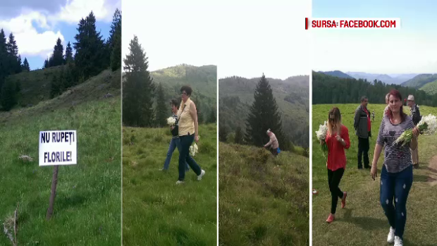 captura fb - narcise