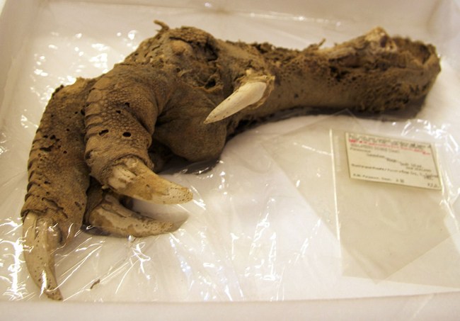 moa61