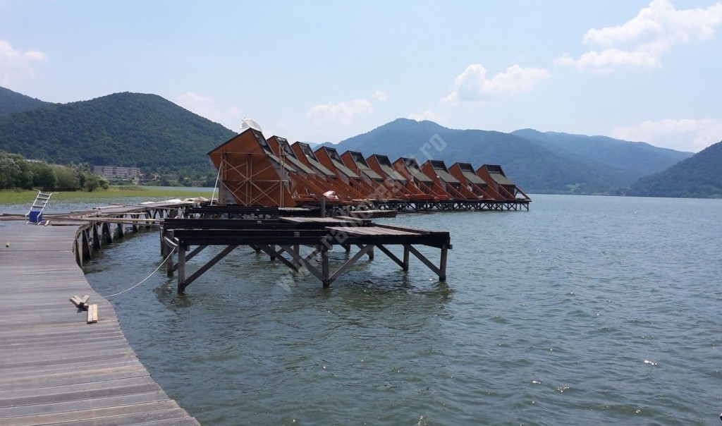 13445975_255162708184607_1286310592_o