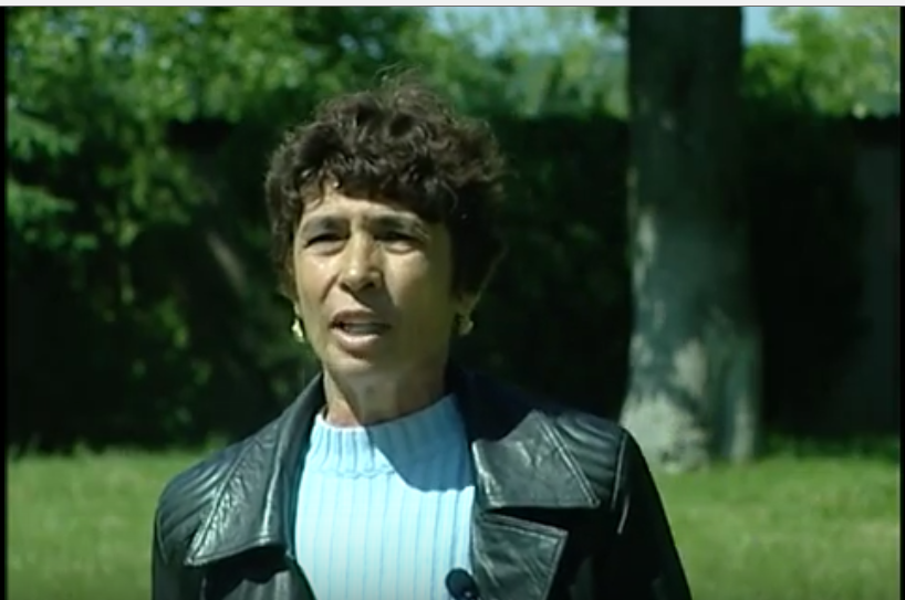 doina stanescu - autocolante - referendum