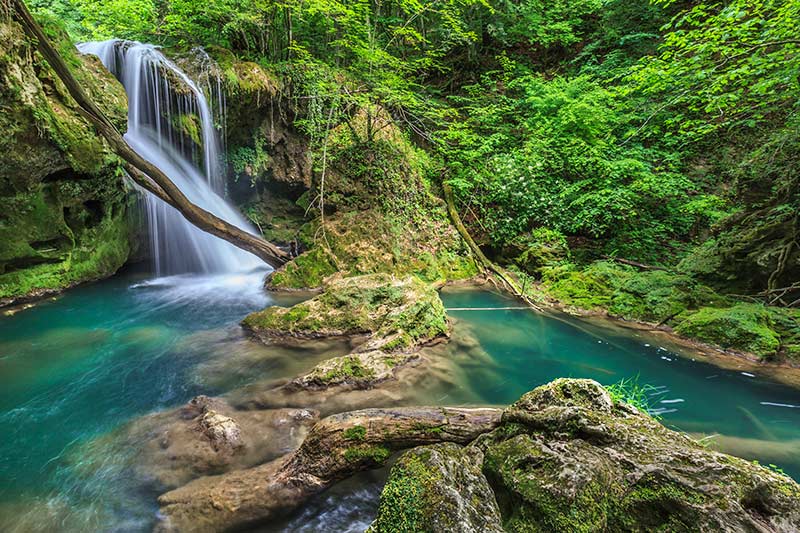 ROMÂNIA CURATĂ, noi DEZVĂLUIRI în SCANDALUL Parcului Natural Cheile Nerei–Beușnița | D-nă ministru Pașca Palmer, nu nouă trebuia Ministerul Mediului să ne trimită o adresă, ci procurorilor DNA!