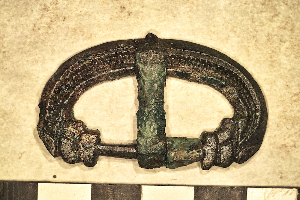 catarama delfini legionar roman