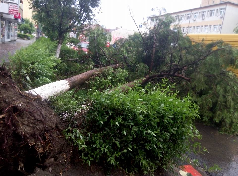 Imagini de groază în Haţeg | O furtună a smuls acoperişurile de pe blocuri şi copacii din rădăcini  