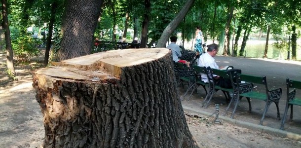 Grigore Cartianu | Vrăjitoarea din Voluntari e pericol public pentru București!