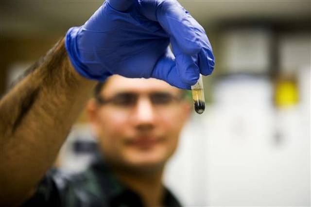 West Nile - virus - laborator