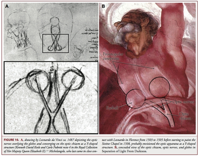 creierul-3 michlangelo- capela sixtina