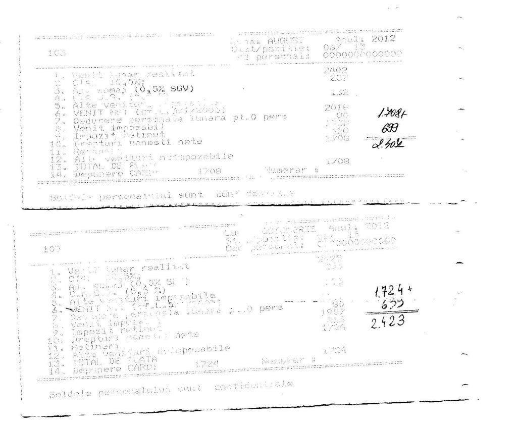 1-fluturas-turcescu-mapn