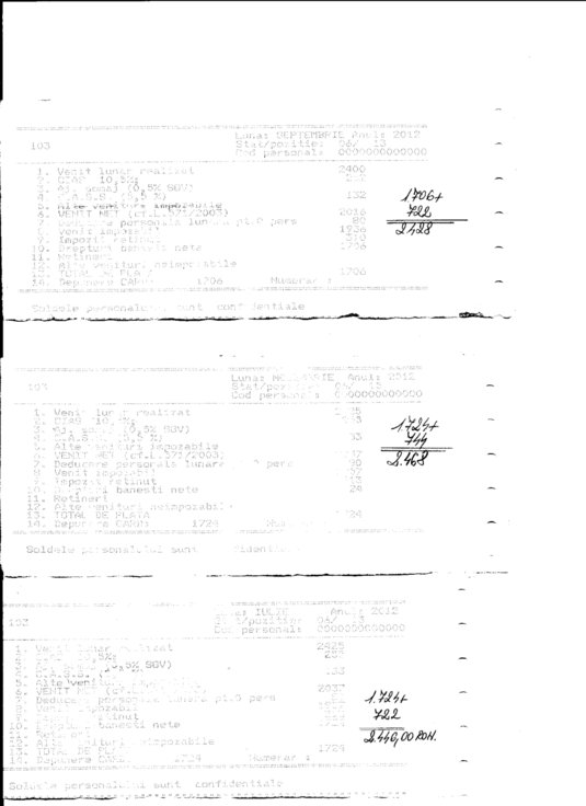 2-fluturas-turcescu-mapn