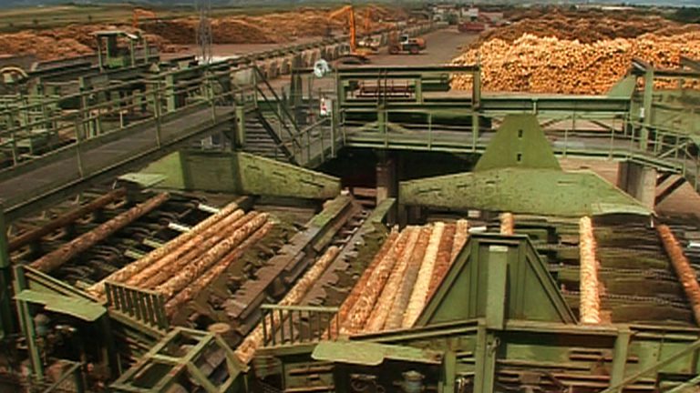 Holzindustrie Schweighofer, drept la replică