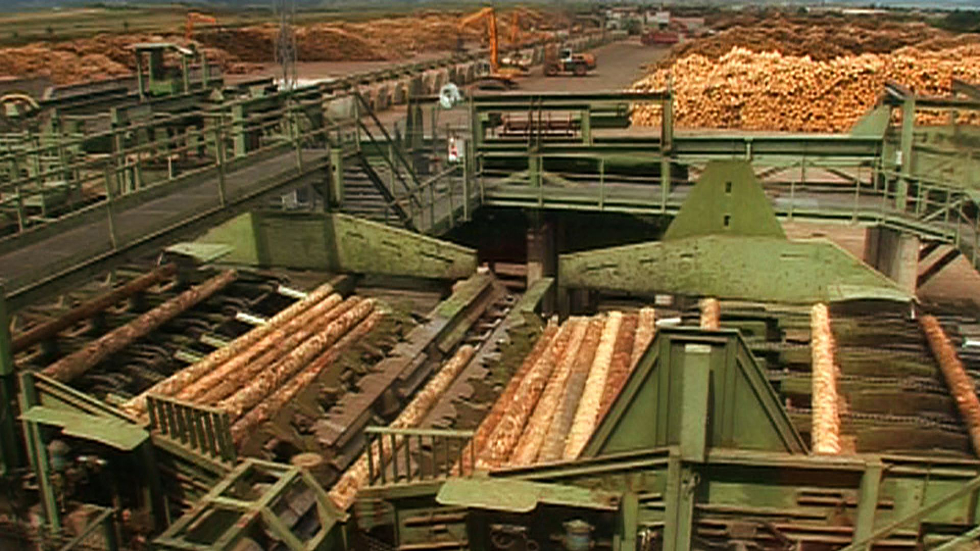 fabrica-holzindustrie-schweighofer