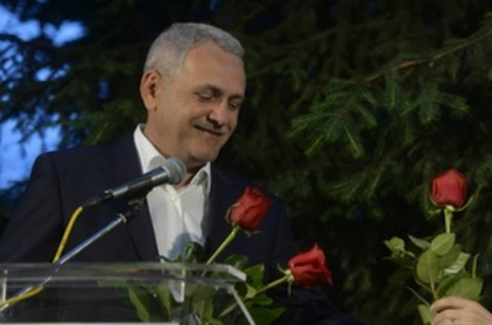 dragnea-flori