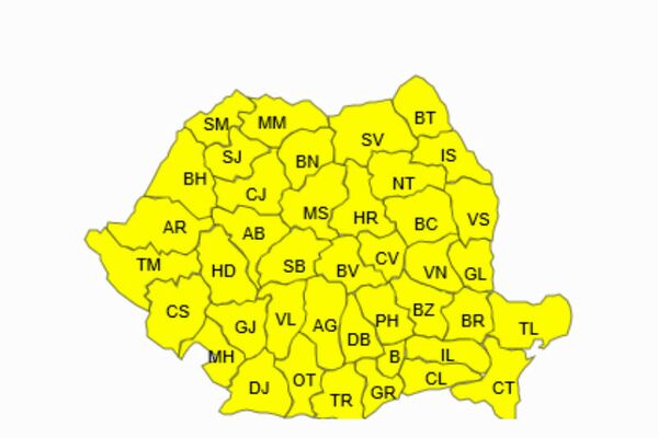 cod-galben-viscol-anm