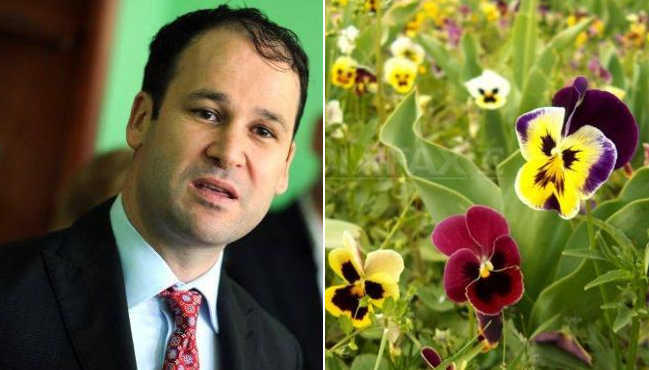 robert-negoita-panselute