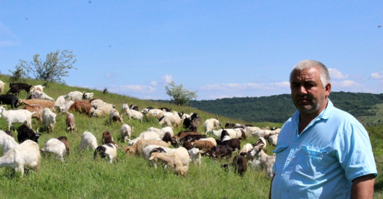 SE ÎNTÂMPLĂ ÎN ROMÂNIA: <span style=
