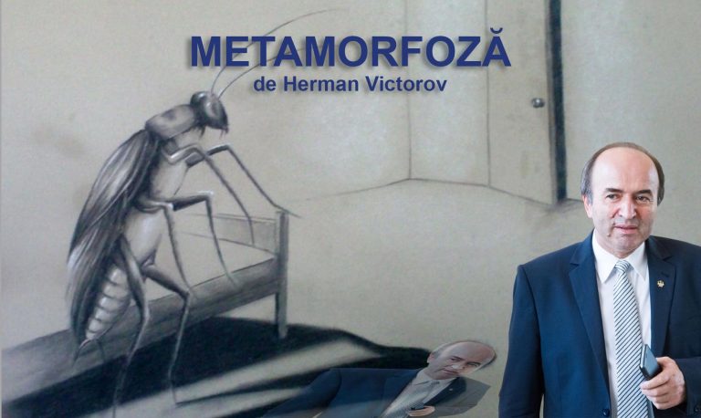 Metamorfoză