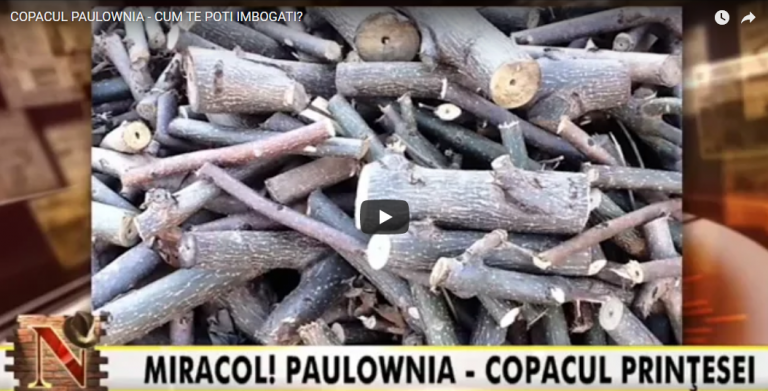 Cele mai populare emisiuni Nasul cu Radu Moraru